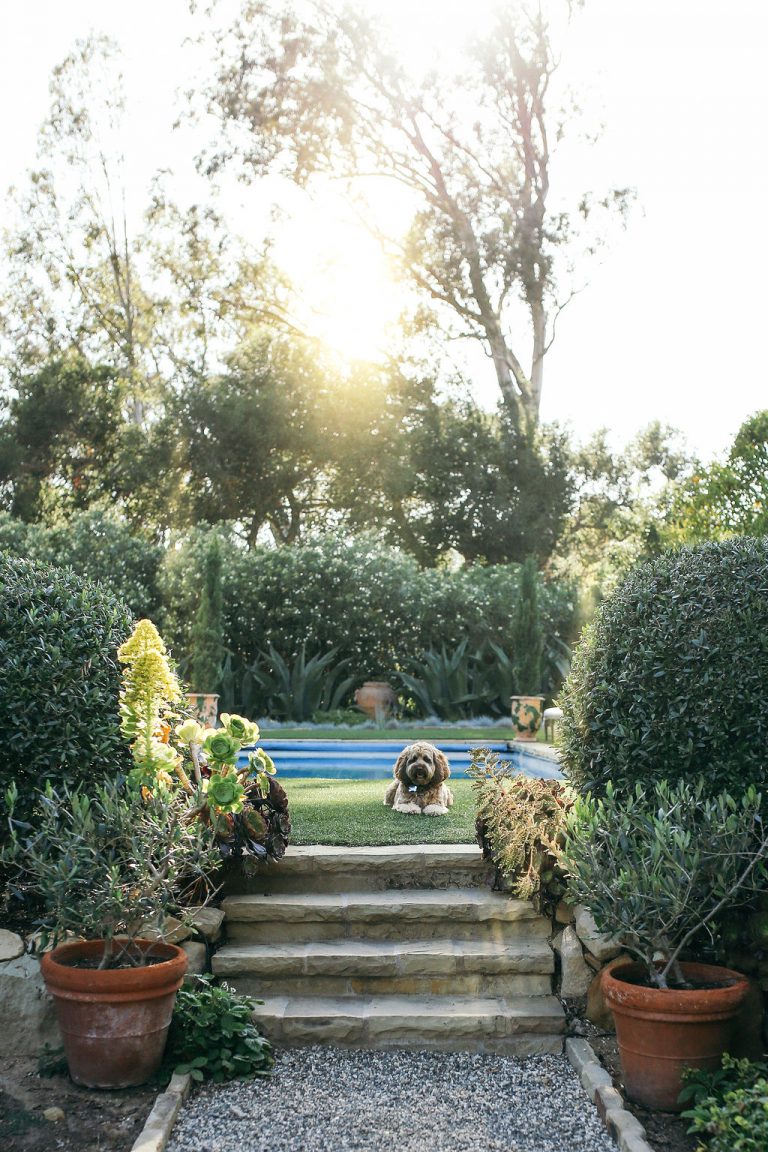 Valerie Rice dinner party in Santa Barbara, bougainvillea and mediterranean house exterior