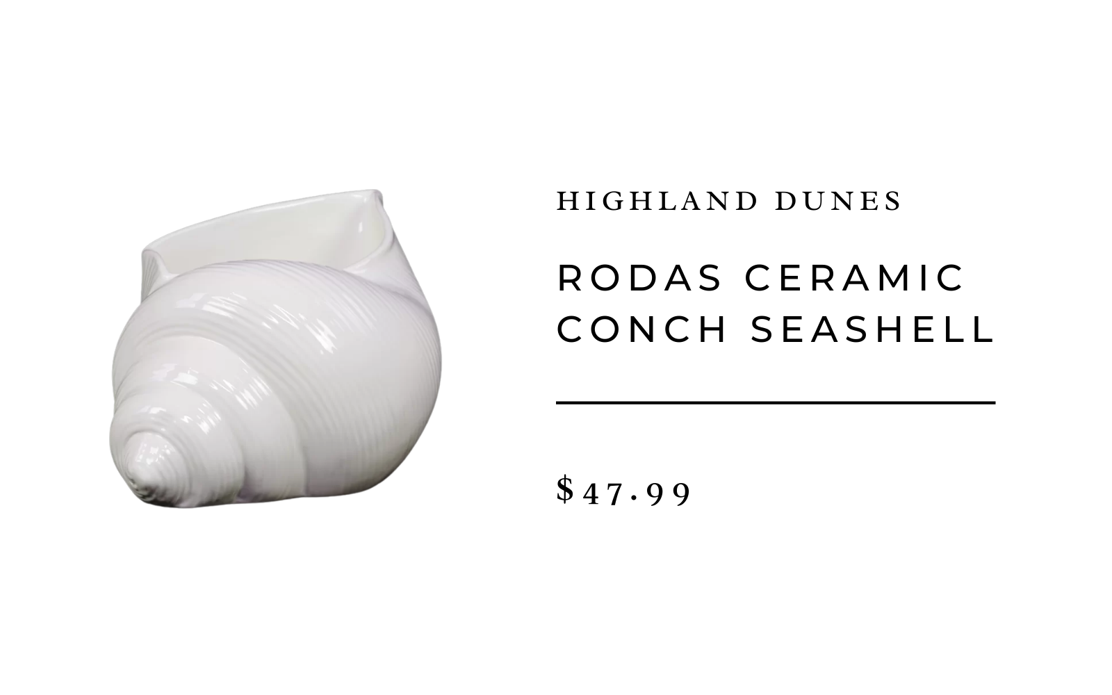 rodas ceramic sea shell