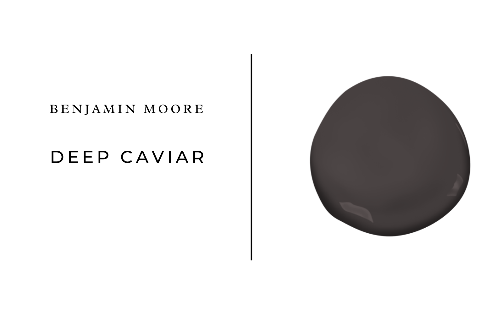 benjamin moore deep caviar