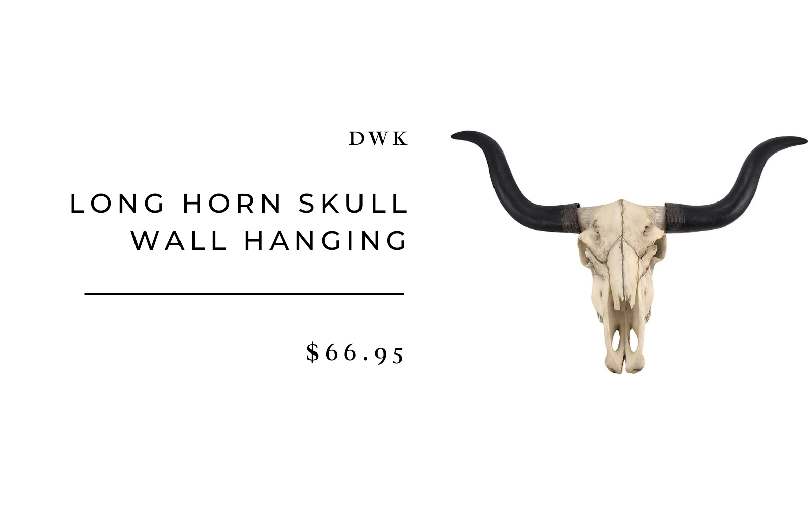 longhorn skull wall hanging