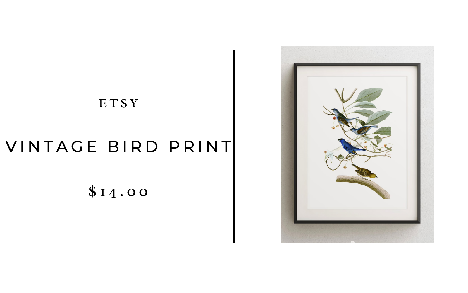 etsy vintage bird print