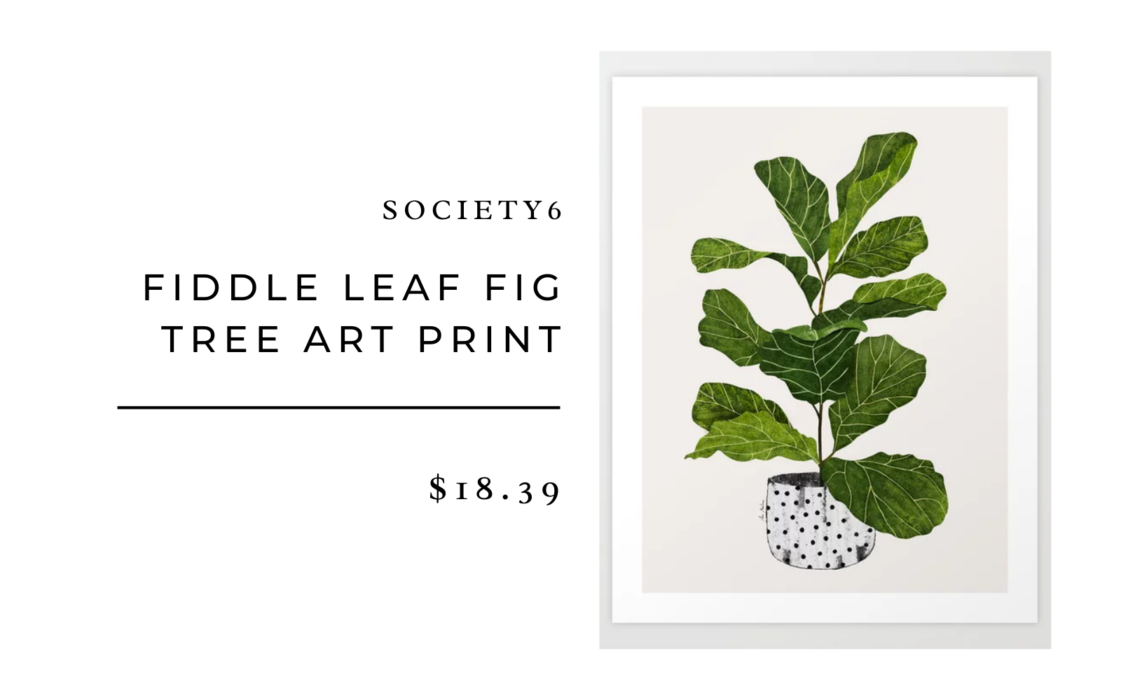 fiddle leaf tree art print