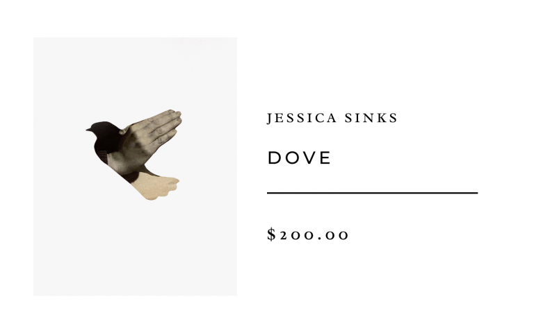 dove by jessica sinks