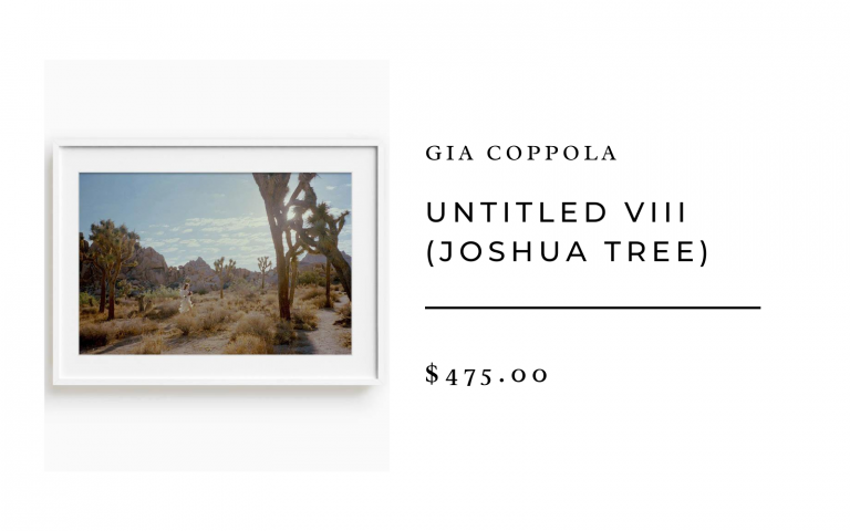 untitled joshua tree