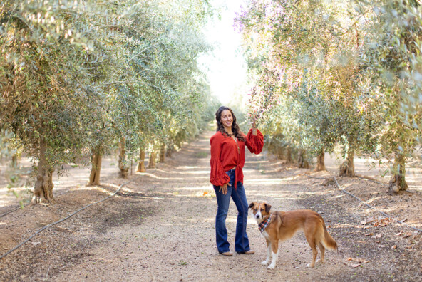 Carolina Burreson_California Ripe Olive