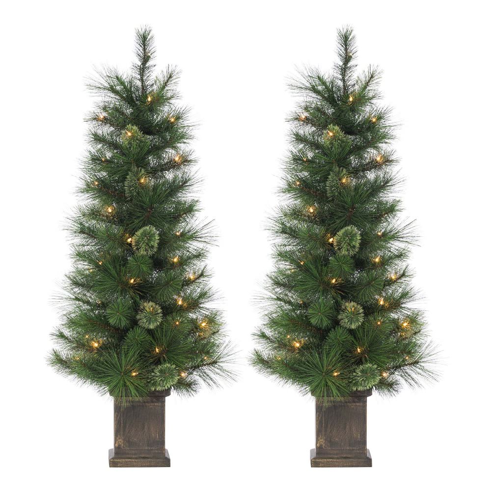 West Elm Potted Cashmere Pine Trees (Set of 2)