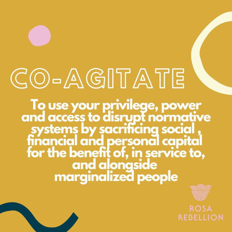 mô tả co-agitator