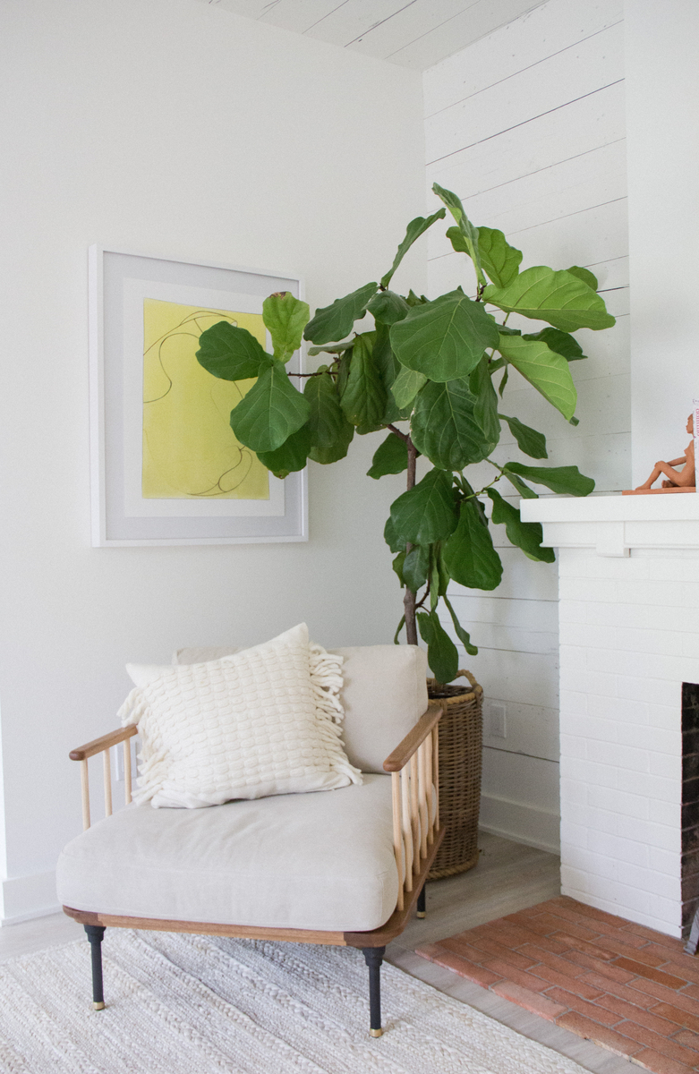 20 Faux Houseplants That Are as Realistic as They Are Stunning