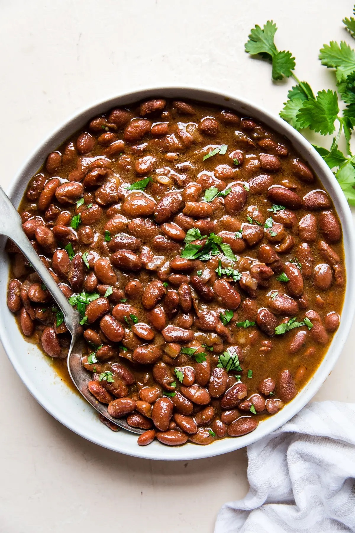 Instant Pot Mexican Pinto Beans_healthy vegetarian instant pot recipes
