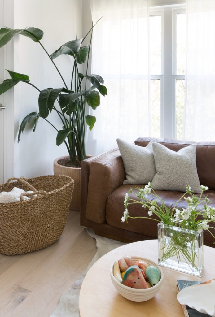 plants in a living room, Emilee Kunas