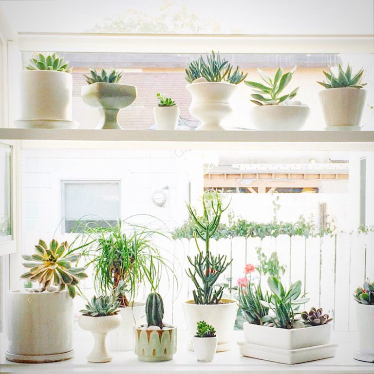 cute indoor planter