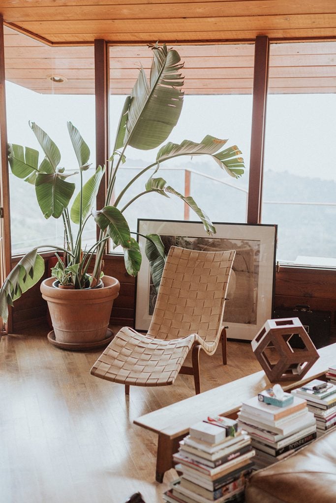 Claire Huntsberger photography, Nitsa Citrine, Sun Potion, living room, plant