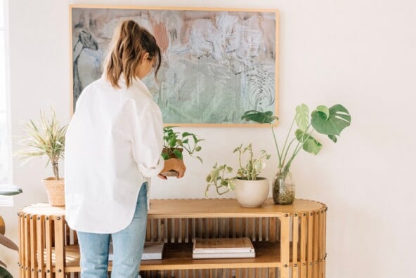 cute indoor planters