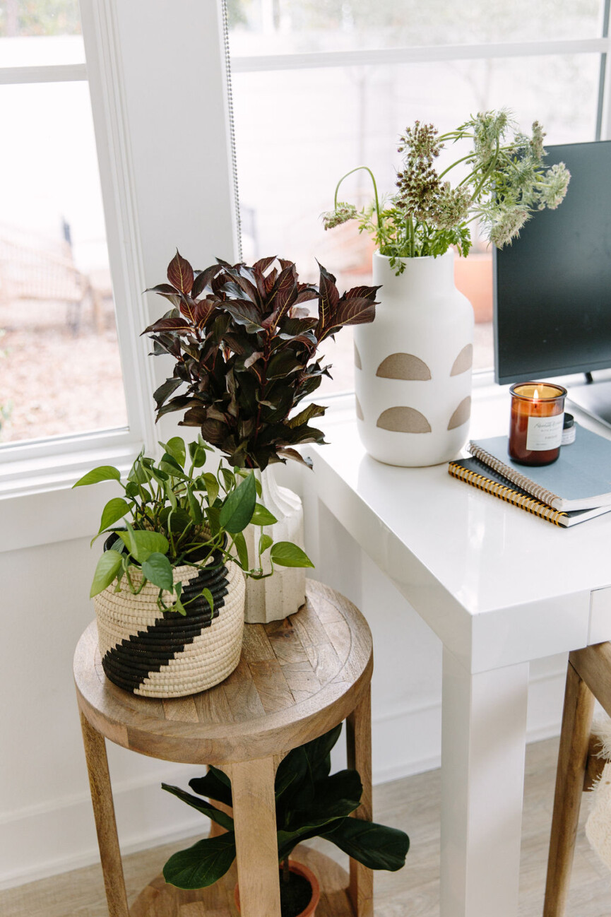 plants in an office