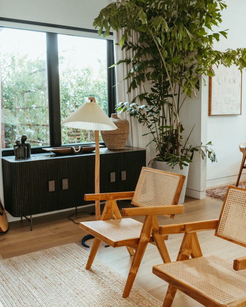 living room, houseplants, chairs, megan group