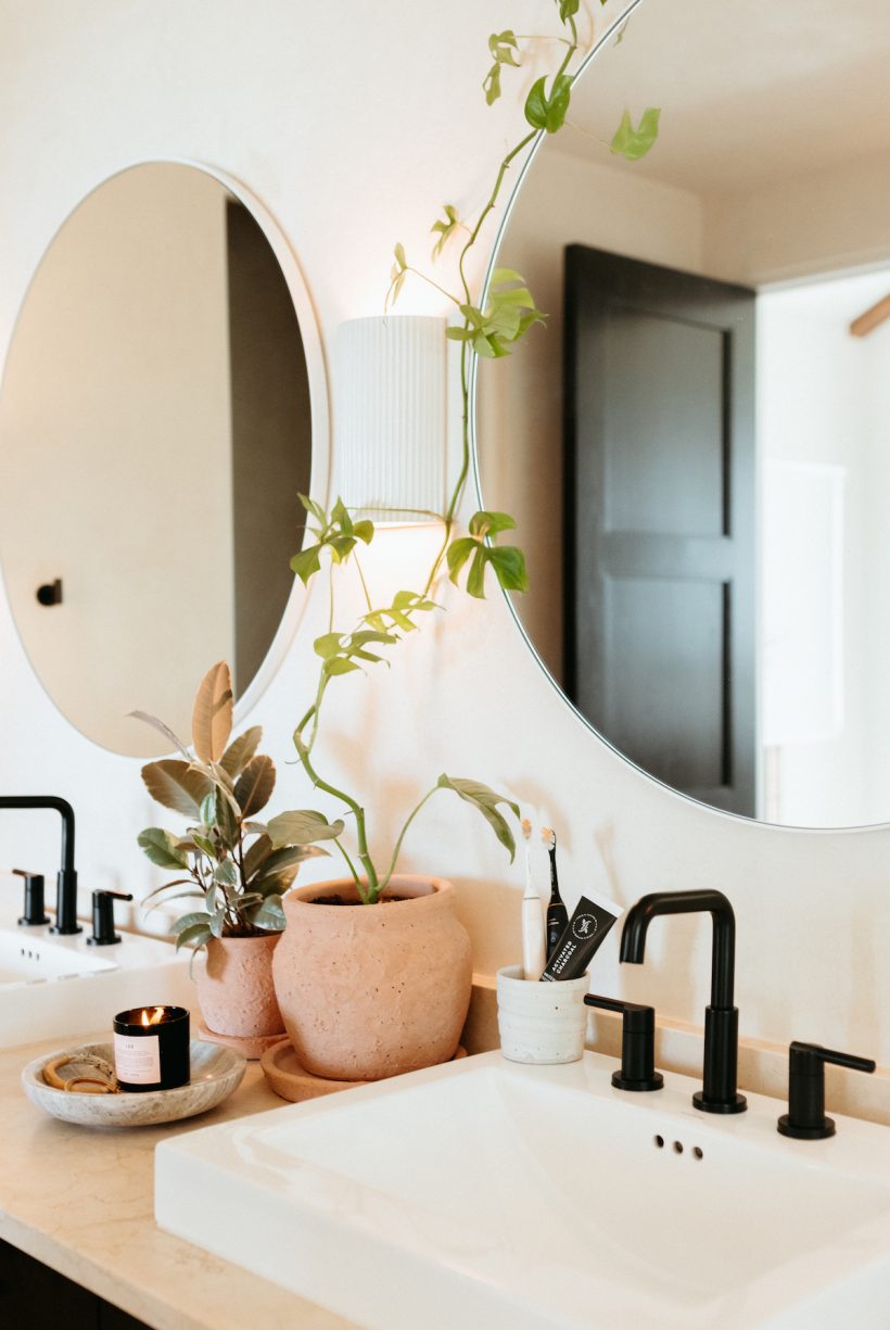 bathroom sink, indoor plants