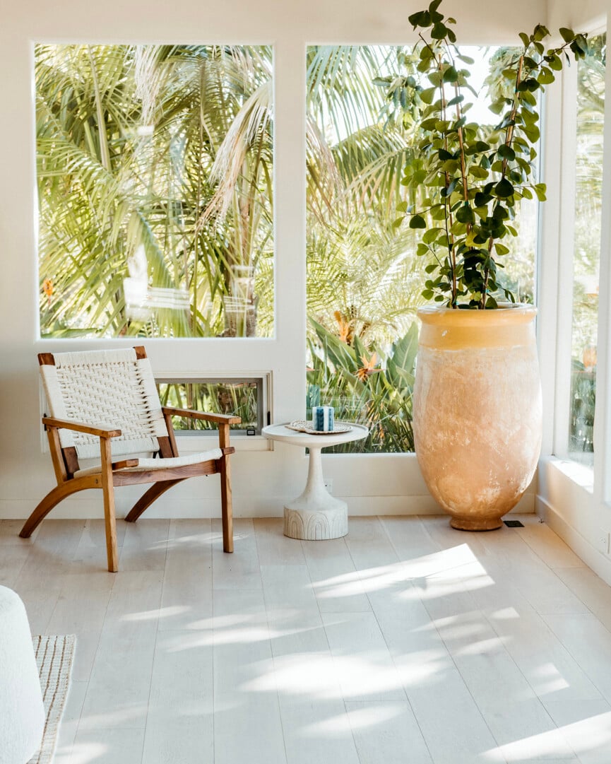 bright sunroom with large planter