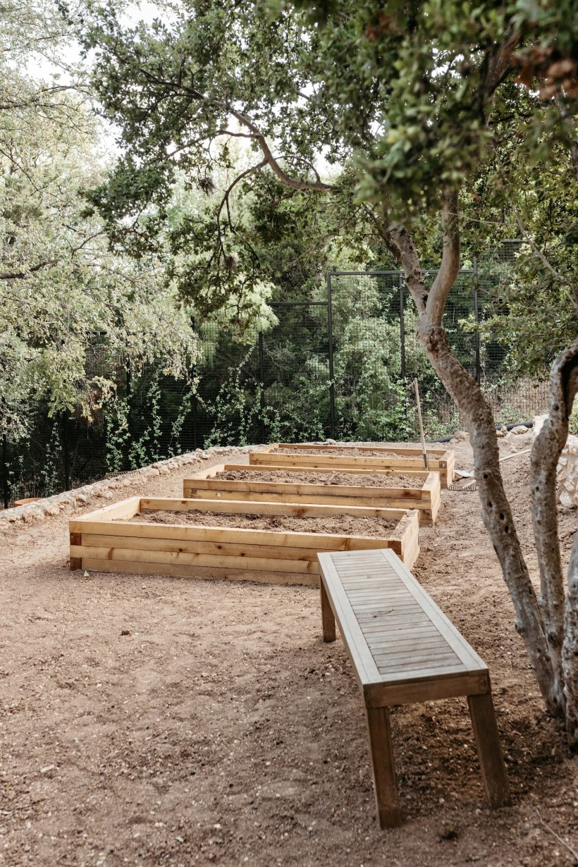 camille styles backyard raised vegetable garden beds