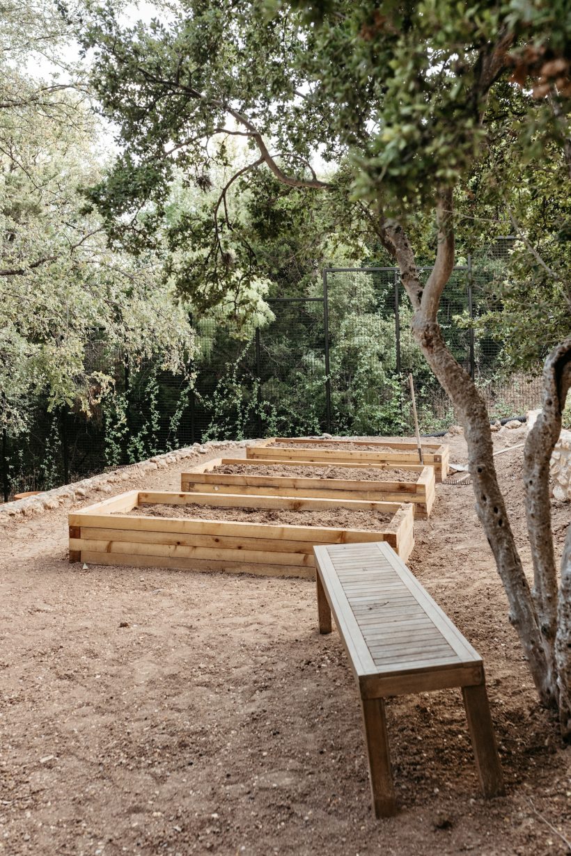 backyard style camille elevates vegetable garden beds