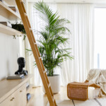 living room with tall plant and open shelving