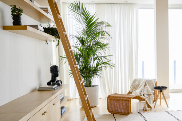 living room with tall plant and open shelving