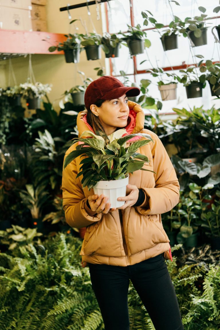plant market shopping_2023 indoor plant trends
