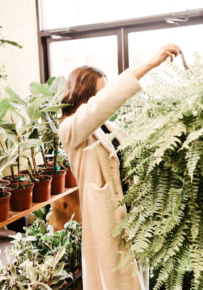 camille plant market shopping_2023 indoor plant trends