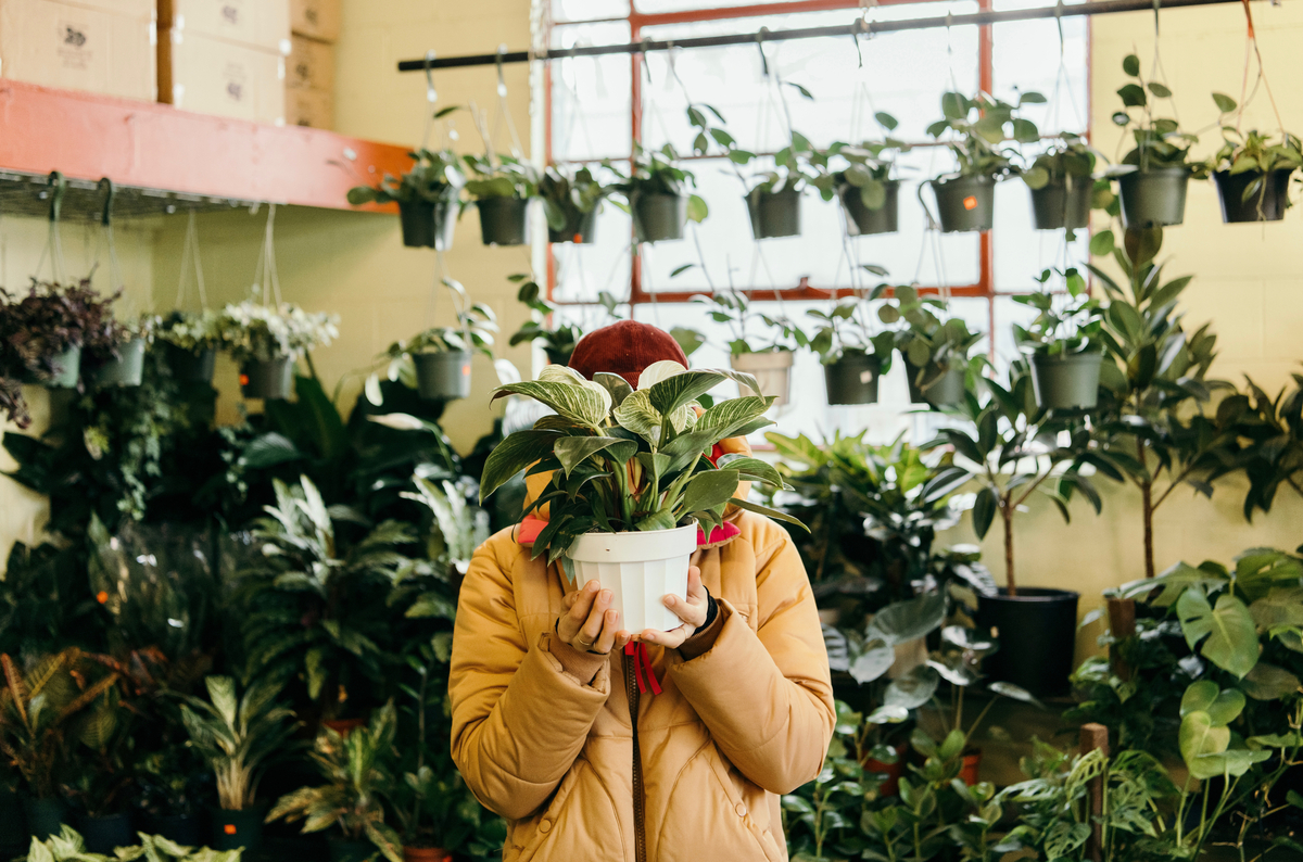 2023 Indoor Plant Trends — Experts Share 7 Houseplants to Know