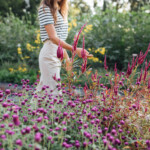summer-to-fall-rituals