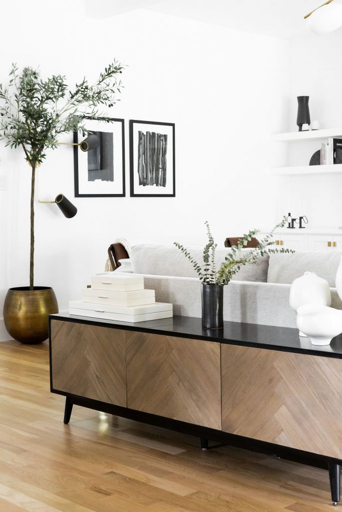 Ashley Robertson's living room_best apartment plants