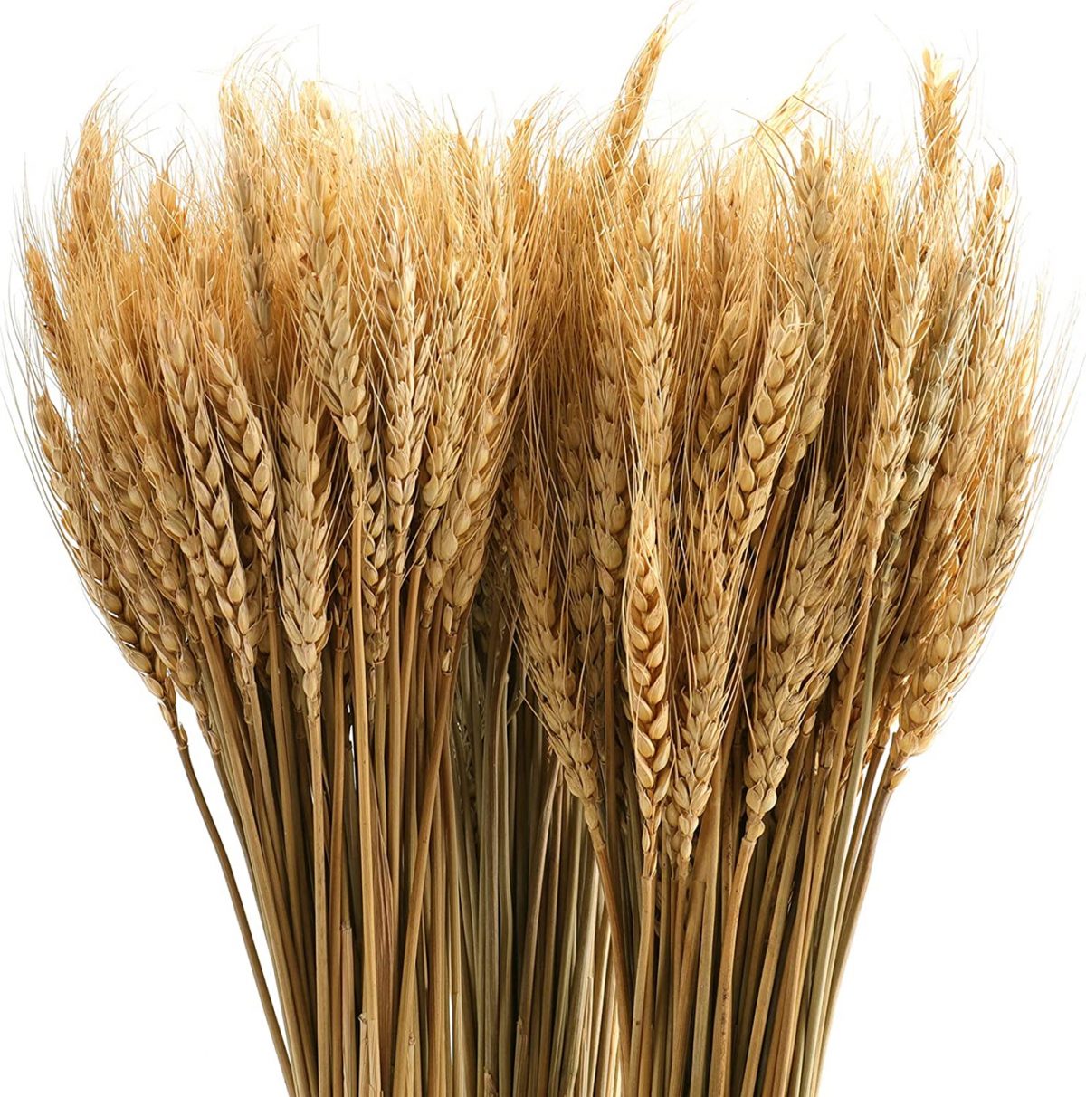 The 30 Best Fall Home D Cor Finds From Amazon   Natural Wheat Stalks Bundle Fall Arrangement 1200x1212 