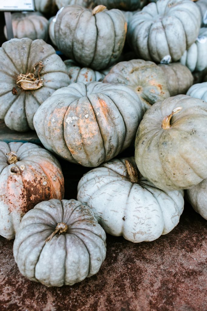 how to cook winter squash