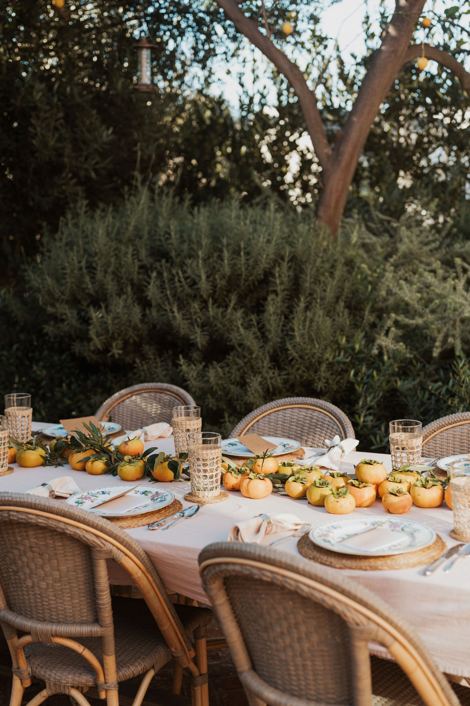 Laurel Gallucci, Sweet Laurel founder, Friendsgiving Brunch at Home in Los Angeles, backyard dinner party table, spring, persimmons