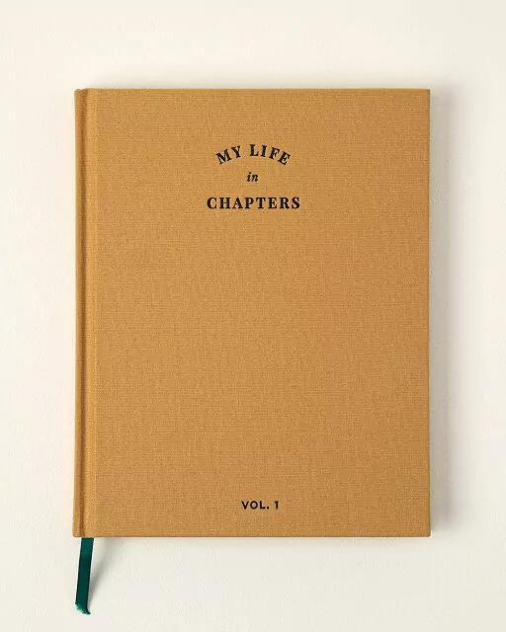 My Life In Chapters: 10 Year Journal