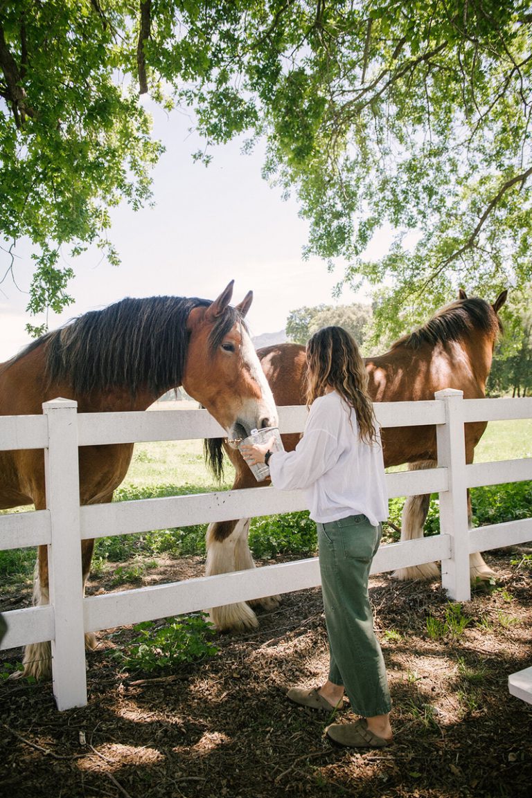 Jenni Kayne petting horses volunteer together