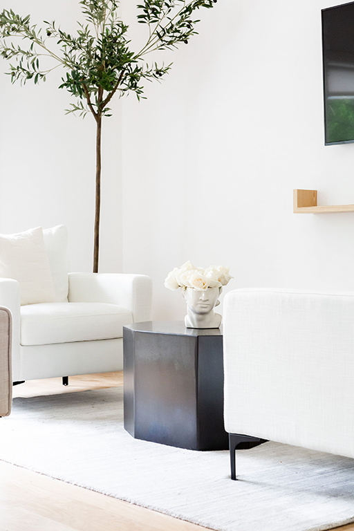 white living room best low-light indoor plants