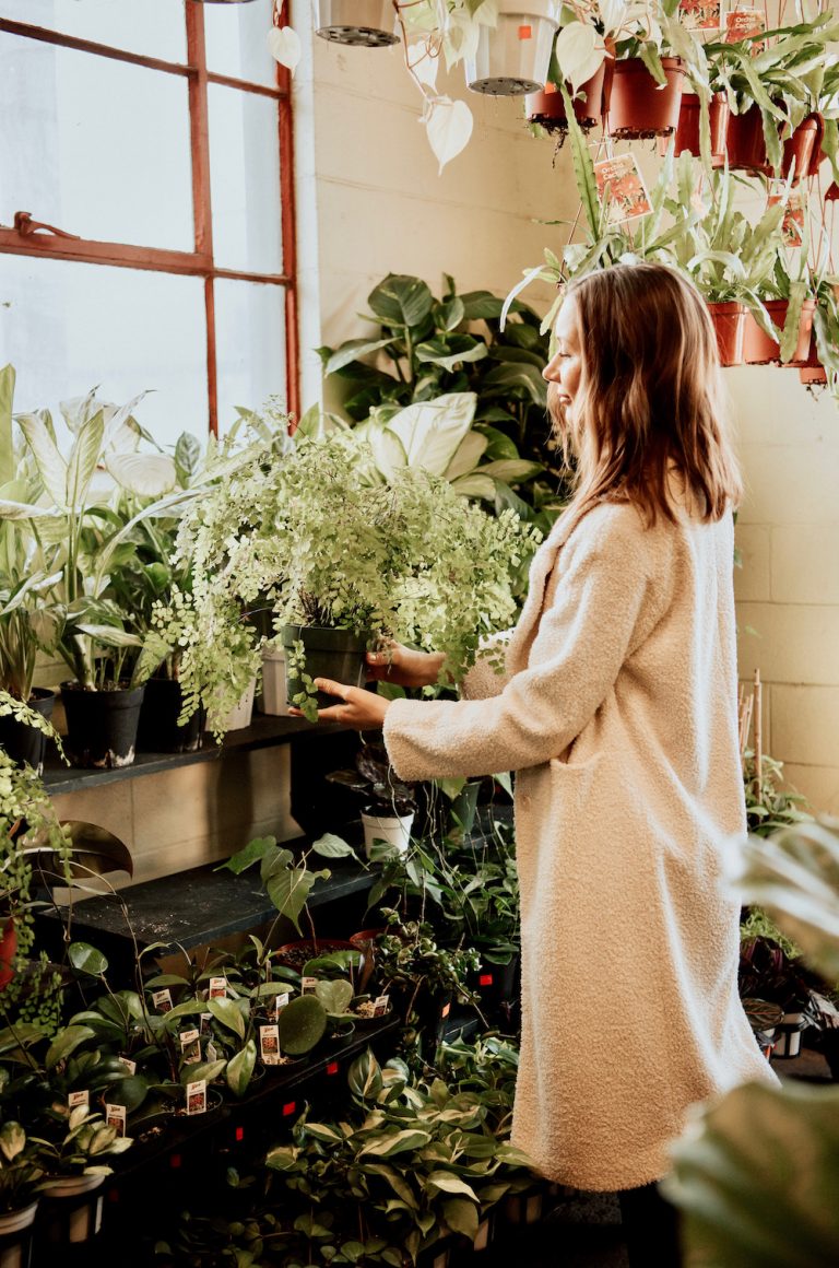 kvinna som köper växter faux krukväxter