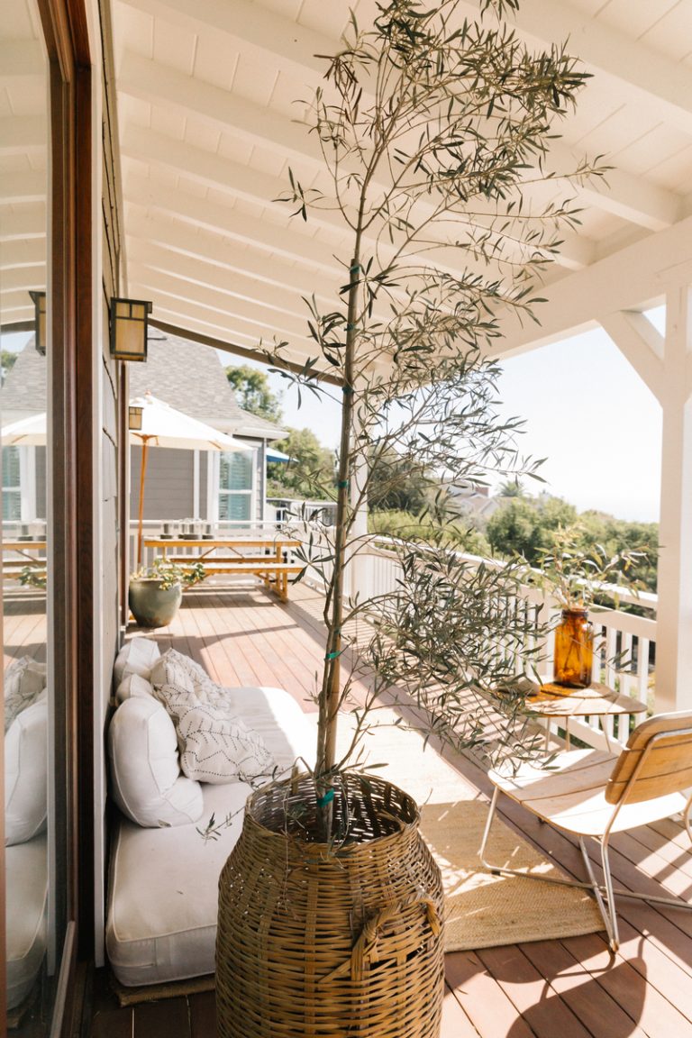 sunny outdoor deck faux houseplants