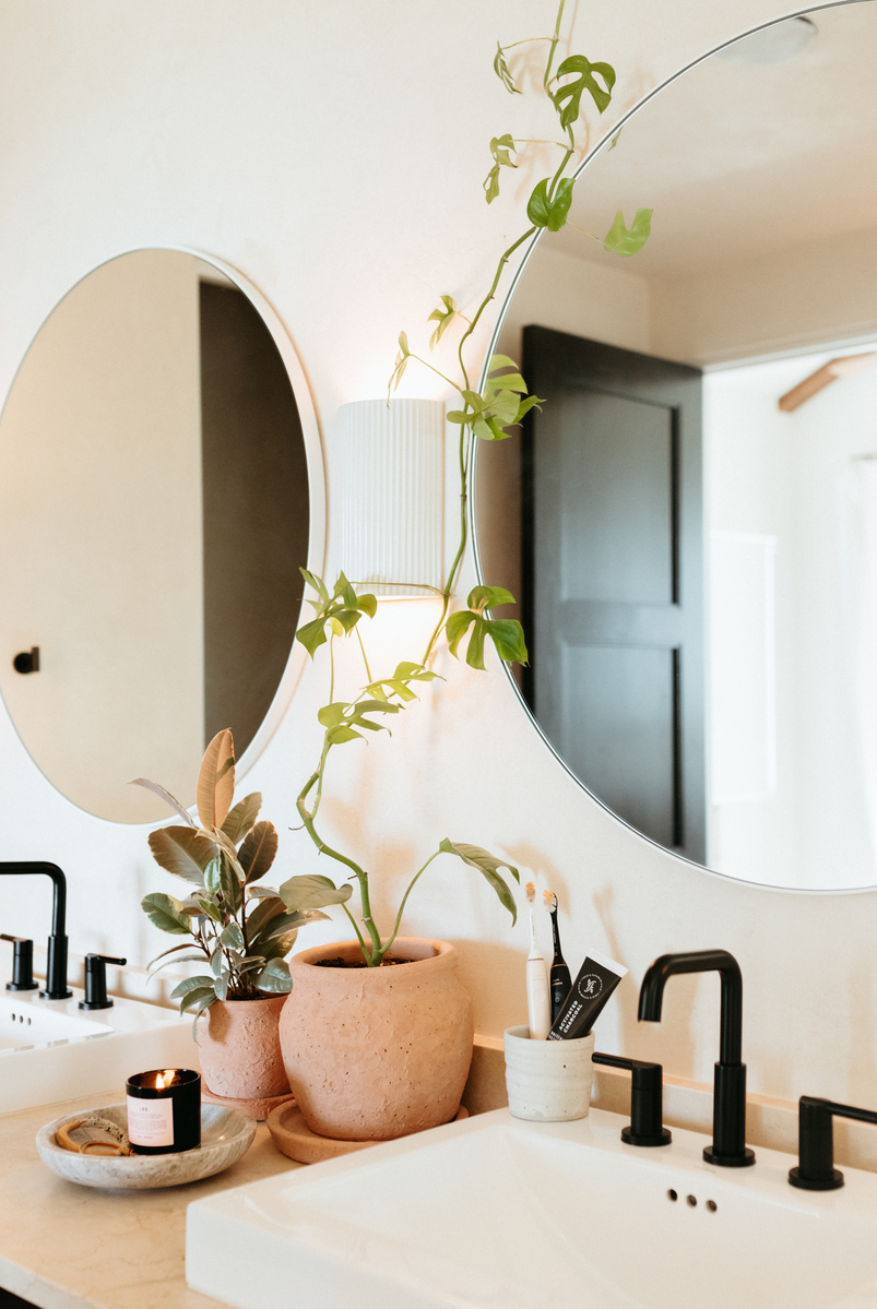 clean and tidy bathroom with growing vine