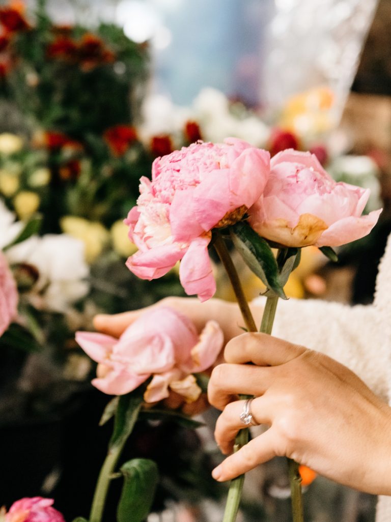 bouquet of peonies