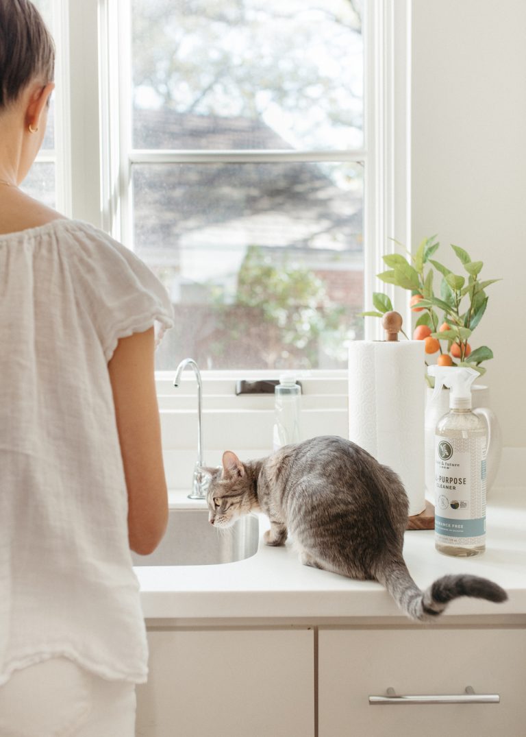 cat in kitchen