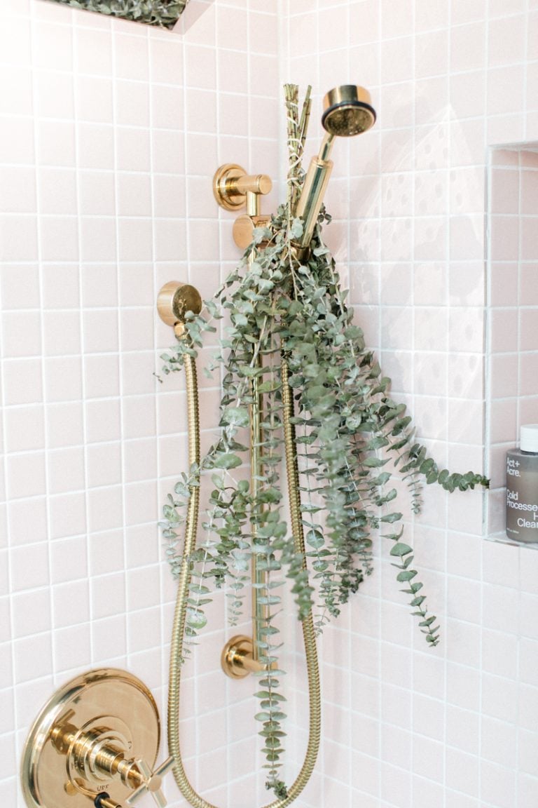 eucalyptus, cold vs hot showers