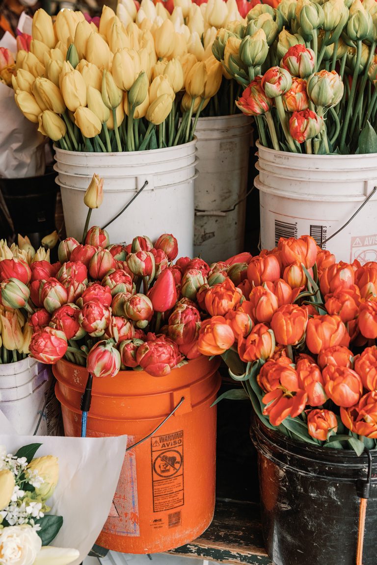 tulips in buckets market