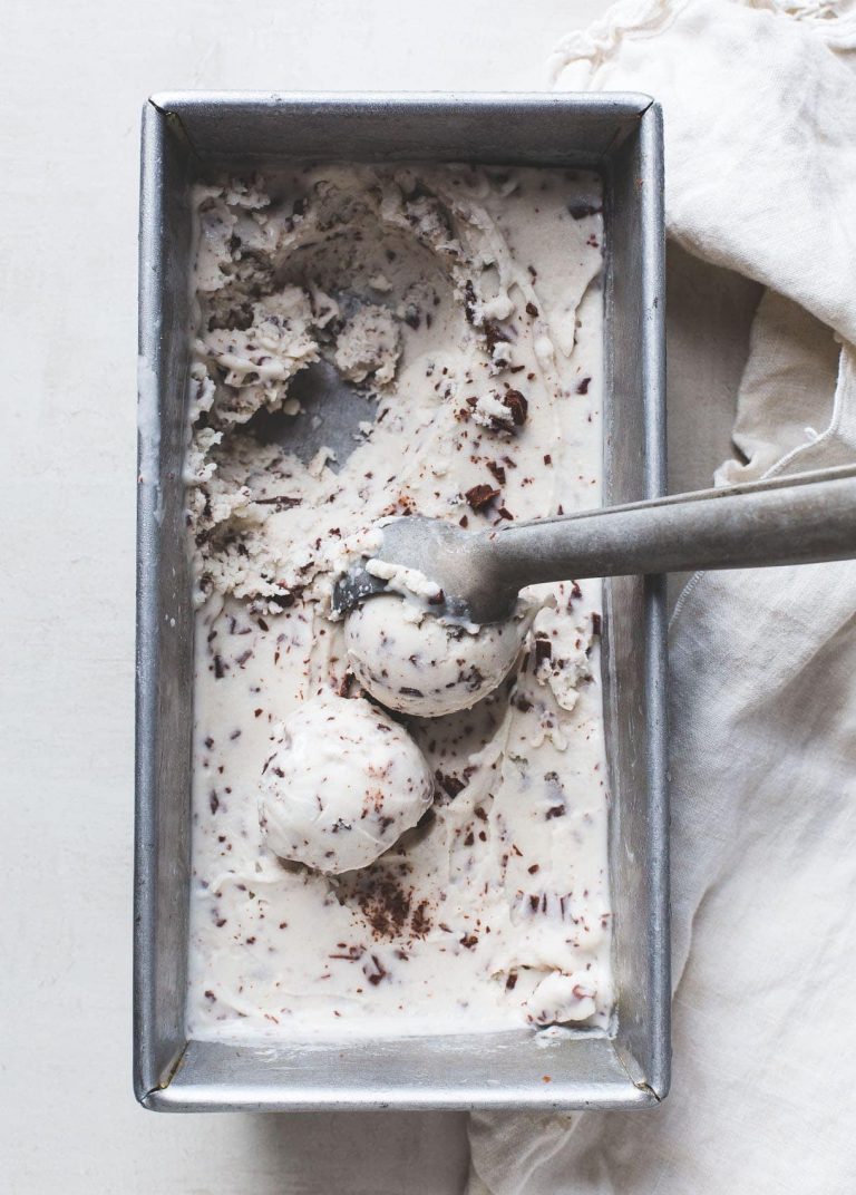 Vegan Chocolate Chip Coconut Milk Ice Cream