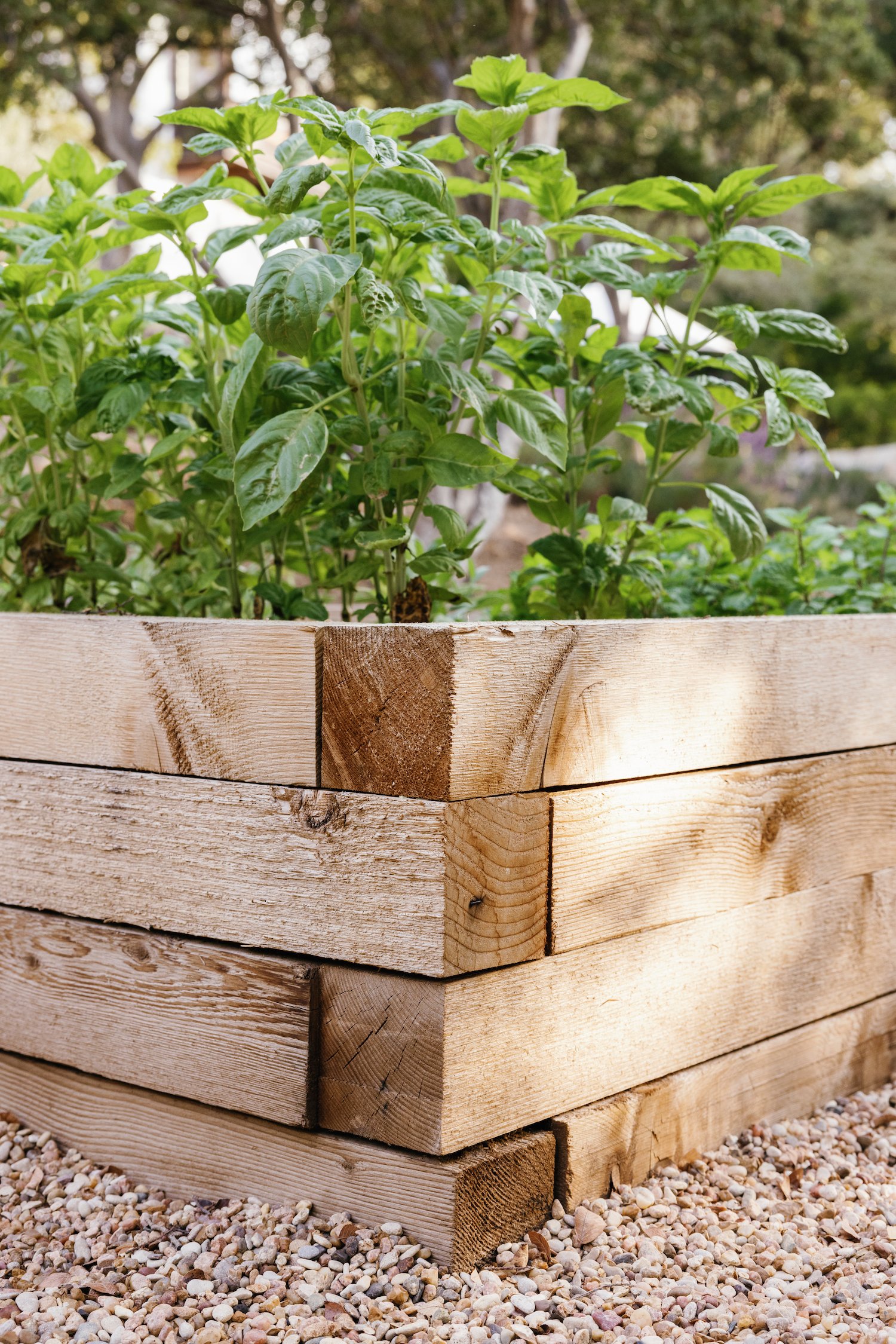 camille styles backyard - how to build raised garden beds - vegetable garden DIY cedar planks