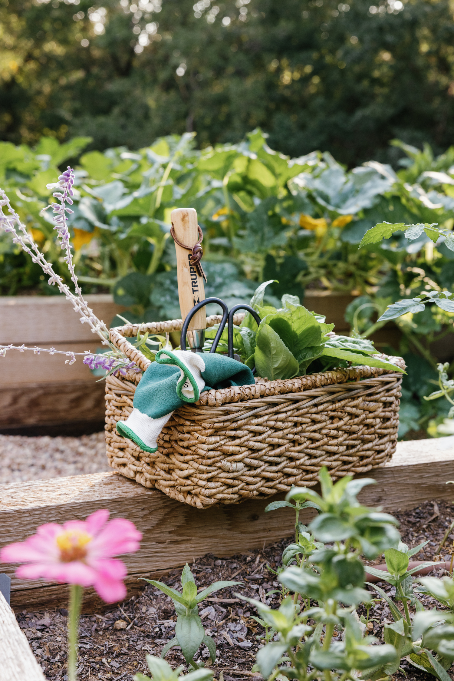 camille styles backyard - how to build raised garden beds - vegetable garden - garden supplies and basket