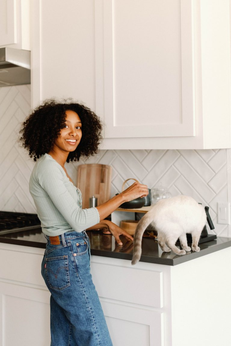 cat on kitchen counter, first time pet owner