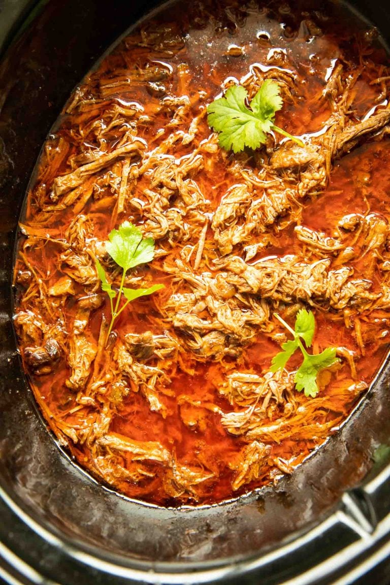 slow cooker birria_summer crockpot recipes