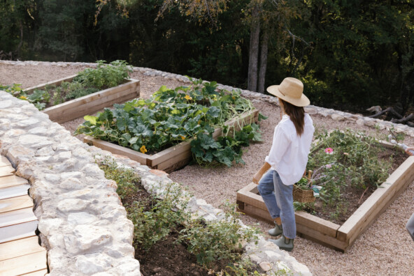 gardening tips for beginners, raised vegetable beds, gardening 101