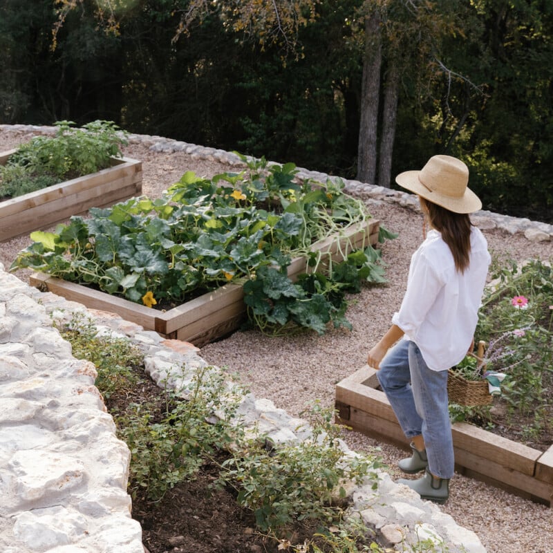 gardening tips for beginners, raised vegetable beds, gardening 101